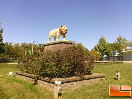ASUS Transformer Picture of Lion Statue