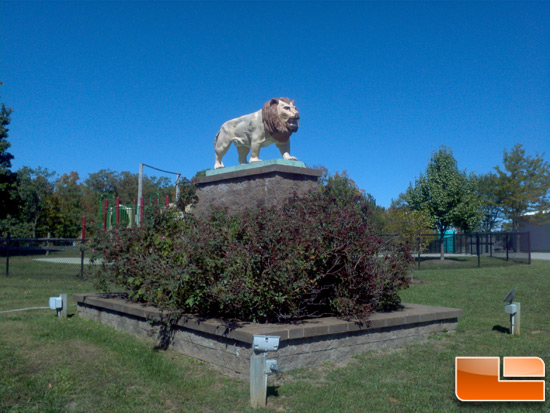 Motorola Xoom Picture of Lion Statue