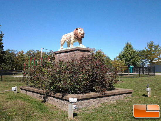 Samsung Galaxy Tab Picture of Lion Statue