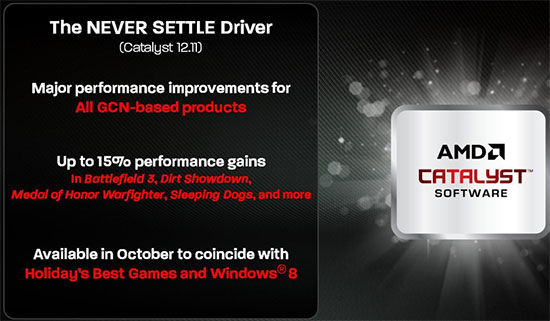 AMD Nevre Settle Driver Slide