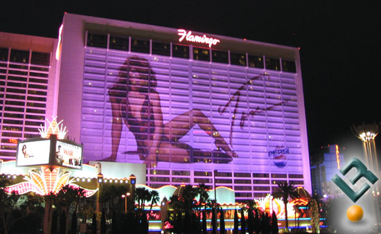 Ad on Flamingo Hotel