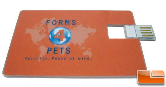 Pet Care and Travel for Dogs USB Flash Drive
