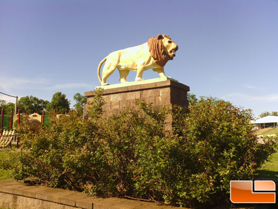 ASUS Transformer Picture of Lion Statue