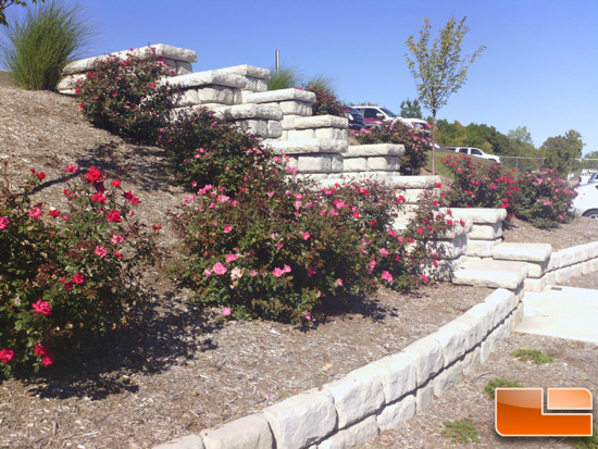 ASUS Transformer Picture of Stone Stairs