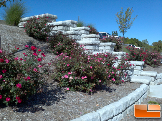 Motorola Xoom Picture of Stone Stairs