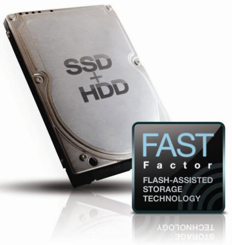 Seagate FAST