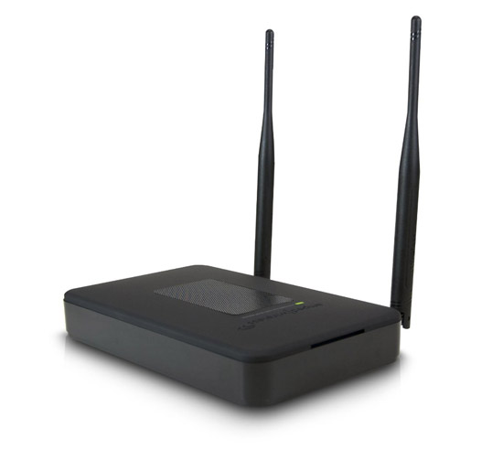 Amped Wireless SR20000G 