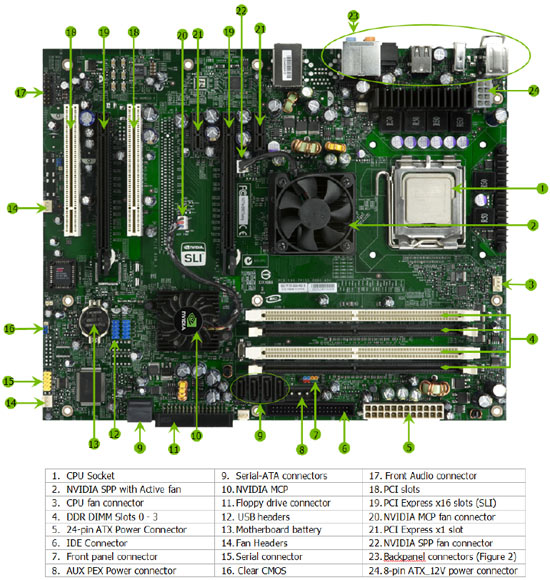 Detailed Layout