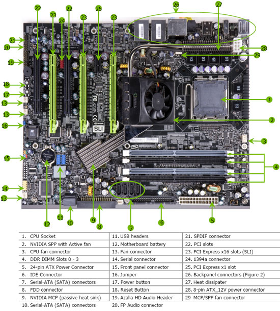 XFX nForce 780i SLI Layout