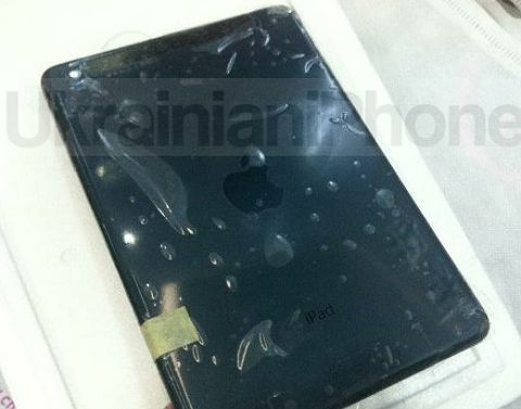 iPad mini outer housing