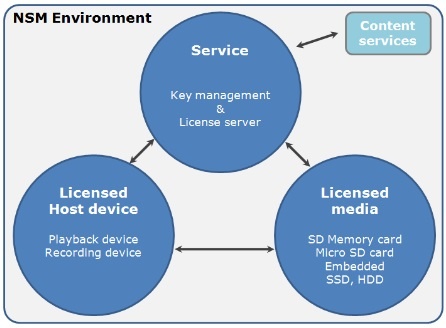 NSM Environment