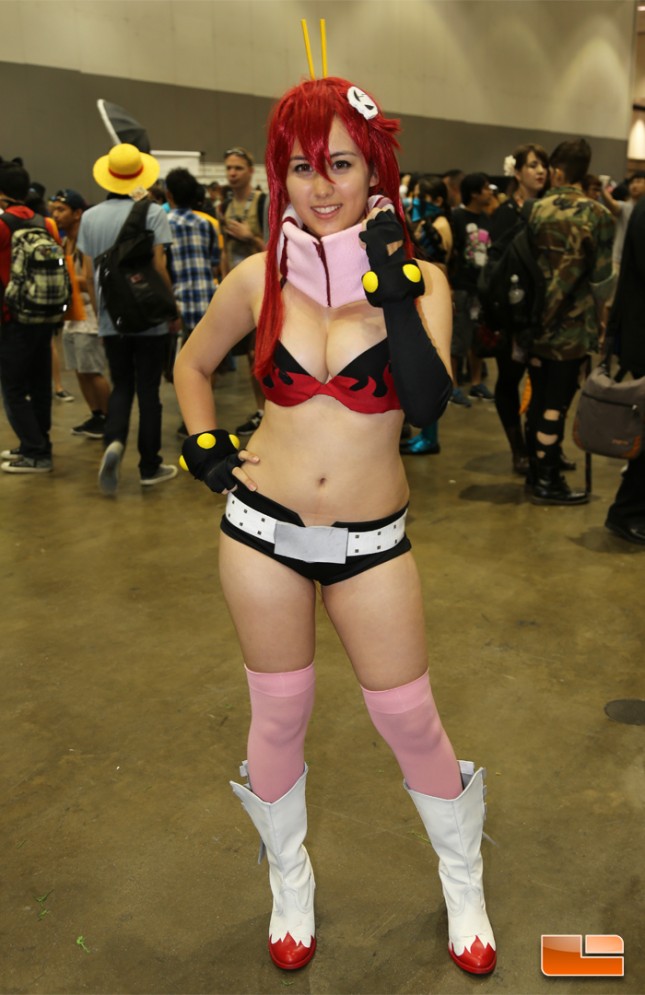 Anime Expo 2014 Cosplay