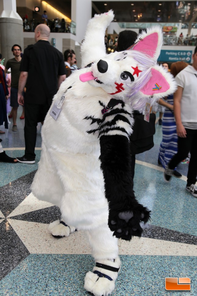 Anime Expo 2014 Cosplay