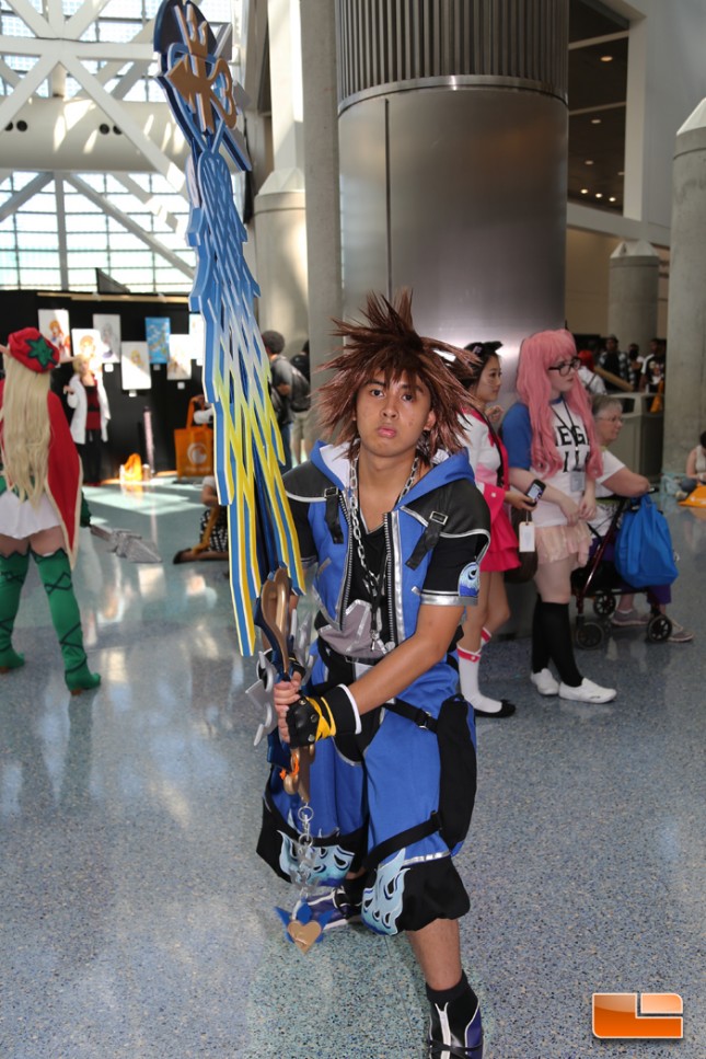 Anime Expo 2014 Cosplay