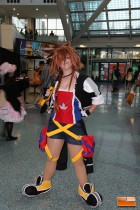 Anime Expo 2014 Cosplay