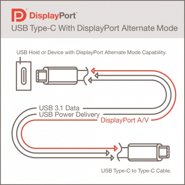 DisplayPort USB 3.1 Type-C