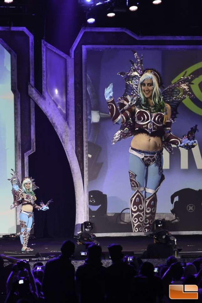 BlizzCon 2014 Cosplay