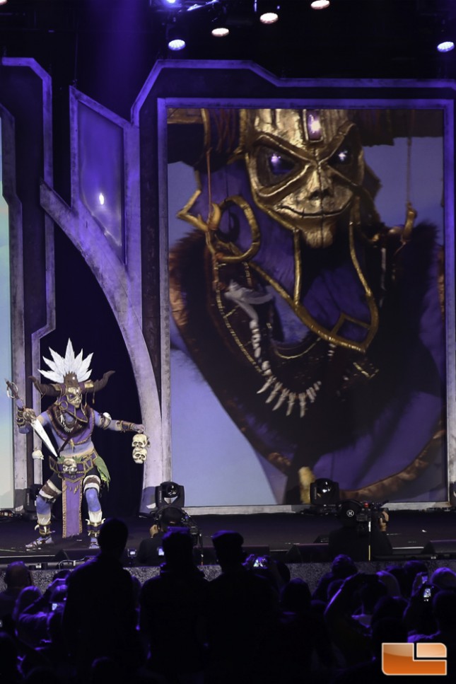 BlizzCon 2014 Cosplay