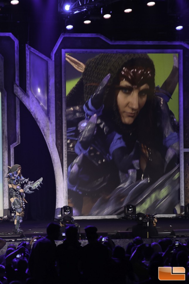 BlizzCon 2014 Cosplay