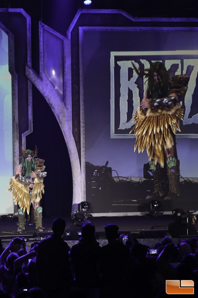 BlizzCon 2014 Cosplay