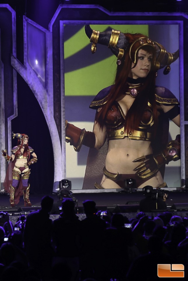 BlizzCon 2014 Cosplay