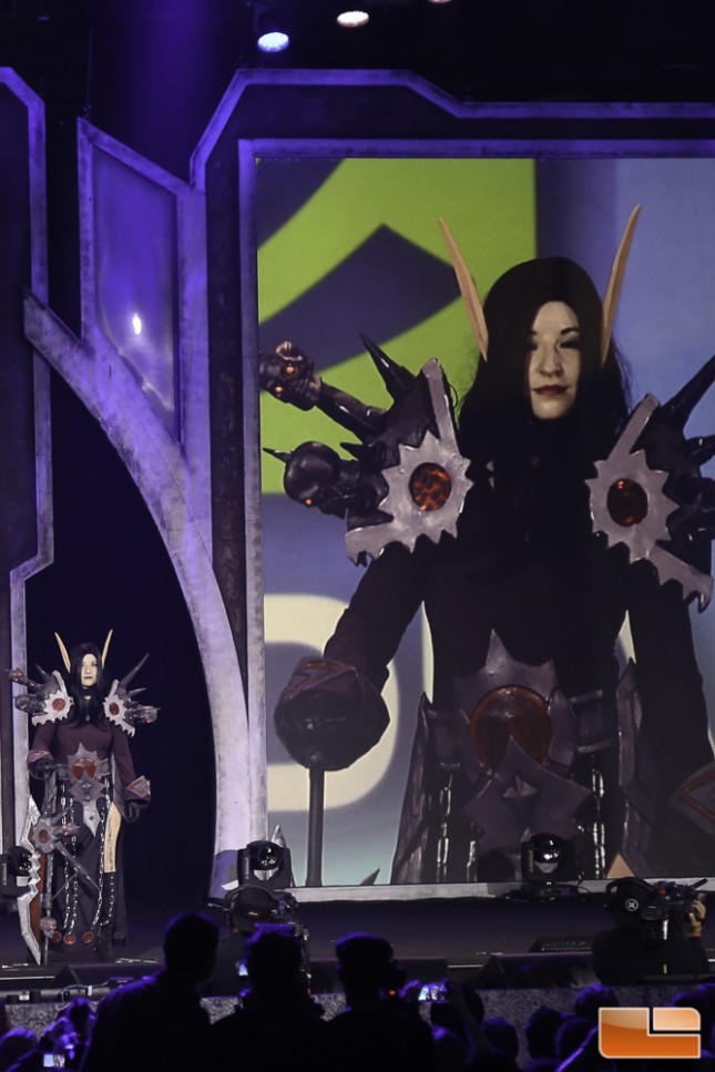 BlizzCon 2014 Cosplay