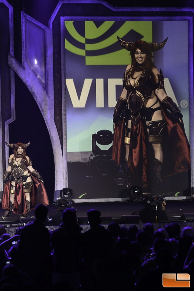 BlizzCon 2014 Cosplay