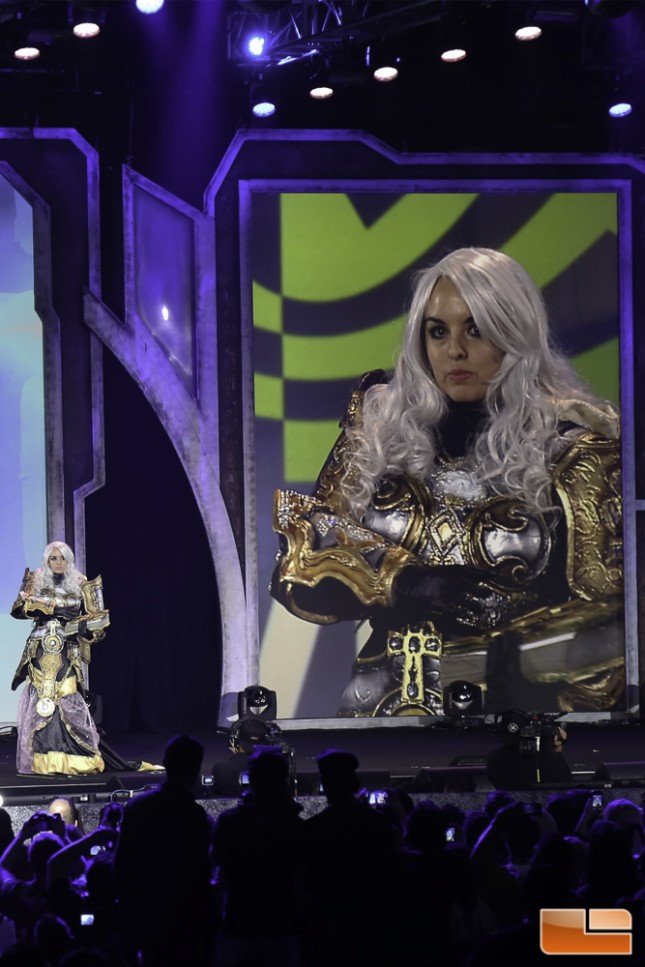 BlizzCon 2014 Cosplay