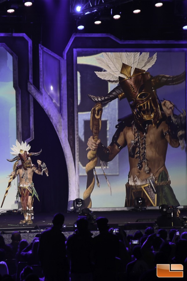 BlizzCon 2014 Cosplay