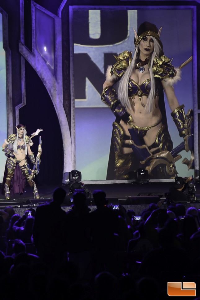 BlizzCon 2014 Cosplay