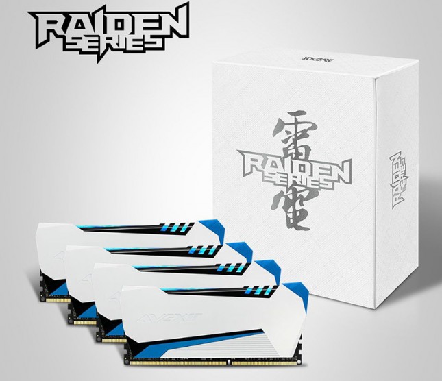 raiden-series-memory