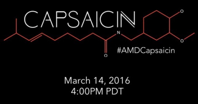 AMD Capsaicin Event