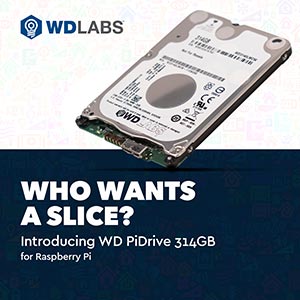 WD Labs Pi314