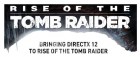 Rise of The Tomb Raider DX12