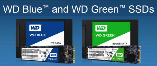 WD Blue and WD Green SSDs