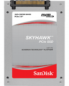 WD Skyhawk Series NVMe PCIe SSD