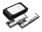 Kingston Ghost Tree NVMe SSD